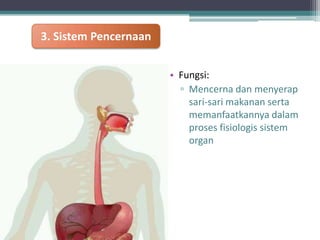 3. Sistem Pencernaan
• Fungsi:
▫ Mencerna dan menyerap
sari-sari makanan serta
memanfaatkannya dalam
proses fisiologis sistem
organ

 
