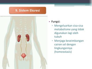 9. Sistem Eksresi
• Fungsi:
▫ Mengeluarkan sisa-sisa
metabolisme yang tidak
digunakan lagi oleh
tubuh
▫ Menjaga keseimbangan
cairan sel dengan
lingkungannya
(homeostasis)

 