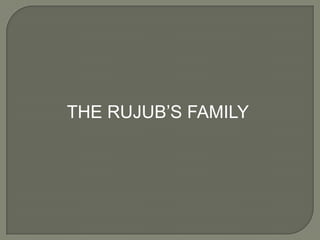 THE RUJUB’S FAMILY

 