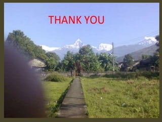 Presentation2.pptx wrist joint.