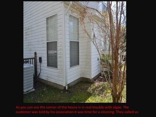 As you can see the corner of the house is in real trouble with algae. The
customer was told by his association it was time for a cleaning. They called us.
 