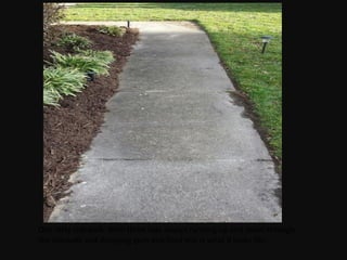 One dirty sidewalk. With three kids always running up and down through
the sidewalk and dropping gum and food this is what it looks like.
 