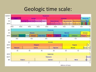 Geologic time scale:
 