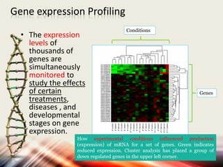 Gene expression Profiling
• The expression
levels of
thousands of
genes are
simultaneously
monitored to
study the effects
of certain
treatments,
diseases , and
developmental
stages on gene
expression.
Conditions
Genes
How experimental conditions influenced production
(expression) of mRNA for a set of genes. Green indicates
reduced expression. Cluster analysis has placed a group of
down regulated genes in the upper left corner.
 