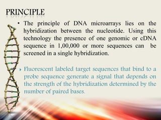 PRINCIPLE
• The principle of DNA microarrays lies on the
hybridization between the nucleotide. Using this
technology the presence of one genomic or cDNA
sequence in 1,00,000 or more sequences can be
screened in a single hybridization.
 Fluorescent labeled target sequences that bind to a
probe sequence generate a signal that depends on
the strength of the hybridization determined by the
number of paired bases.
 