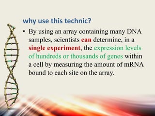 why use this technic?
• By using an array containing many DNA
samples, scientists can determine, in a
single experiment, the expression levels
of hundreds or thousands of genes within
a cell by measuring the amount of mRNA
bound to each site on the array.
 