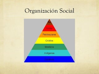 Organización Social