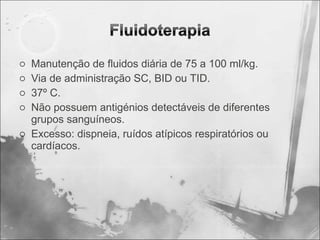 o Manutenção de fluidos diária de 75 a 100 ml/kg.
o Via de administração SC, BID ou TID.
o 37º C.
o Não possuem antigénios detectáveis de diferentes
grupos sanguíneos.
o Excesso: dispneia, ruídos atípicos respiratórios ou
cardíacos.
 