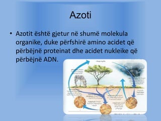 ELEMENTET KIMIKE NE ORGANIZEM | PPSX