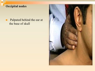 Occipital nodes
 Palpated behind the ear at
the base of skull
 