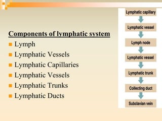 Components of lymphatic system
 Lymph
 Lymphatic Vessels
 Lymphatic Capillaries
 Lymphatic Vessels
 Lymphatic Trunks
 Lymphatic Ducts
 
