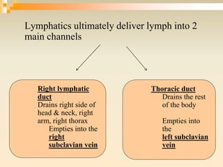 Lymphatics ultimately deliver lymph into 2
main channels
Right lymphatic
duct
Drains right side of
head & neck, right
arm, right thorax
Empties into the
right
subclavian vein
Thoracic duct
Drains the rest
of the body
Empties into
the
left subclavian
vein
 