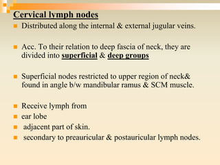 Cervical lymph nodes
 Distributed along the internal & external jugular veins.
 Acc. To their relation to deep fascia of neck, they are
divided into superficial & deep groups
 Superficial nodes restricted to upper region of neck&
found in angle b/w mandibular ramus & SCM muscle.
 Receive lymph from
 ear lobe
 adjacent part of skin.
 secondary to preauricular & postauricular lymph nodes.
 