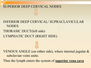 SUPERIOR DEEP CERVICAL NODES
INFERIOR DEEP CERVICAL/ SUPRACLAVICULAR
NODES.
THORASIC DUCT(left side)
LYMPHATIC DUCT (RIGHT SIDE)
VENOUS ANGLE (on either side), where internal jugular &
subclavian veins unite.
Thus the lymph enters the system of superior vena cava
 