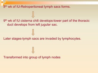 8th wk of IU-Retroperitoneal lymph sacs forms.
9th wk of IU cisterna chili develops-lower part of the thoracic
duct develops from left jugular sac.
Later stages-lymph sacs are invaded by lymphocytes.
Transformed into group of lymph nodes
 