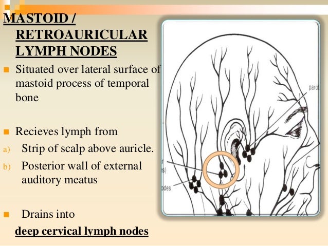 LYMPHATICS HEAD AND NECK
