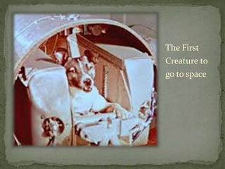The First
Creature to
go to space
 