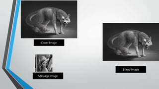 Cover Image 
Message Image 
Stego-Image 
 