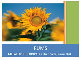 PUMS 
MELAKUPPUREDDIPATTY, Kulithalai, Karur Dist., 
 