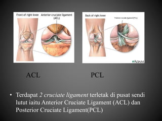 KNEE AND THIGH INJURIES | PPTX
