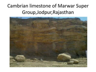 Cambrian limestone of Marwar Super 
Group,Jodpur,Rajasthan 
 