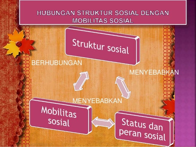 Struktur dan mobilitas sosial