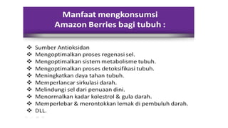 Amazon Berries