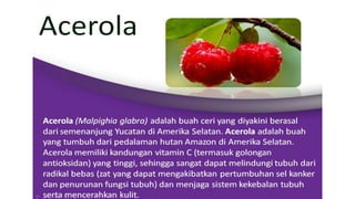 Amazon Berries