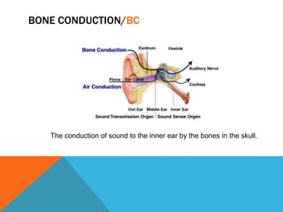 Special Senses: The Eye and Ear | PPTX