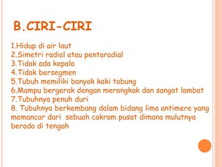 B.CIRI-CIRI 
1.Hidup di air laut 
2.Simetri radial atau pentaradial 
3.Tidak ada kepala 
4.Tidak bersegmen 
5.Tubuh memiliki banyak kaki tabung 
6.Mampu bergerak dengan merangkak dan sangat lambat 
7.Tubuhnya penuh duri 
8. Tubuhnya berkembang dalam bidang lima antimere yang 
memancar dari sebuah cakram pusat dimana mulutnya 
berada di tengah 
 