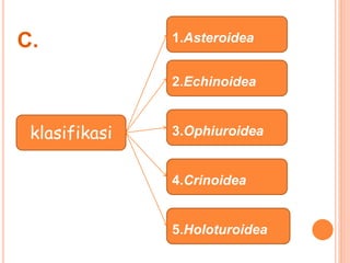 C. 1.Asteroidea 
klasifikasi 
2.Echinoidea 
3.Ophiuroidea 
4.Crinoidea 
5.Holoturoidea 
 