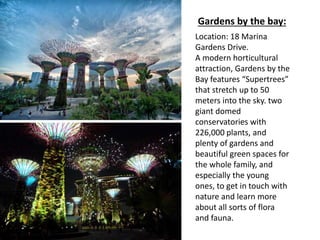 Gardens by the bay: 
Location: 18 Marina 
Gardens Drive. 
A modern horticultural 
attraction, Gardens by the 
Bay features “Supertrees” 
that stretch up to 50 
meters into the sky. two 
giant domed 
conservatories with 
226,000 plants, and 
plenty of gardens and 
beautiful green spaces for 
the whole family, and 
especially the young 
ones, to get in touch with 
nature and learn more 
about all sorts of flora 
and fauna. 
 