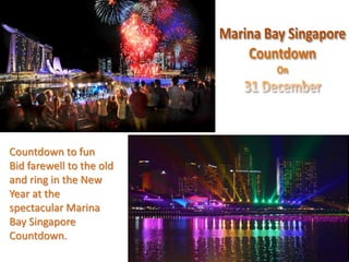 Countdown to fun 
Bid farewell to the old 
and ring in the New 
Year at the 
spectacular Marina 
Bay Singapore 
Countdown. 
 