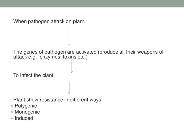 How do plants protect themselves?