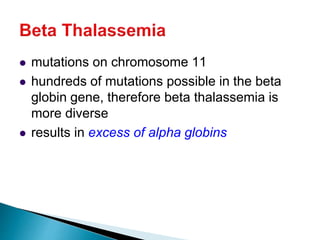  mutations on chromosome 11
 hundreds of mutations possible in the beta
globin gene, therefore beta thalassemia is
more diverse
 results in excess of alpha globins
 