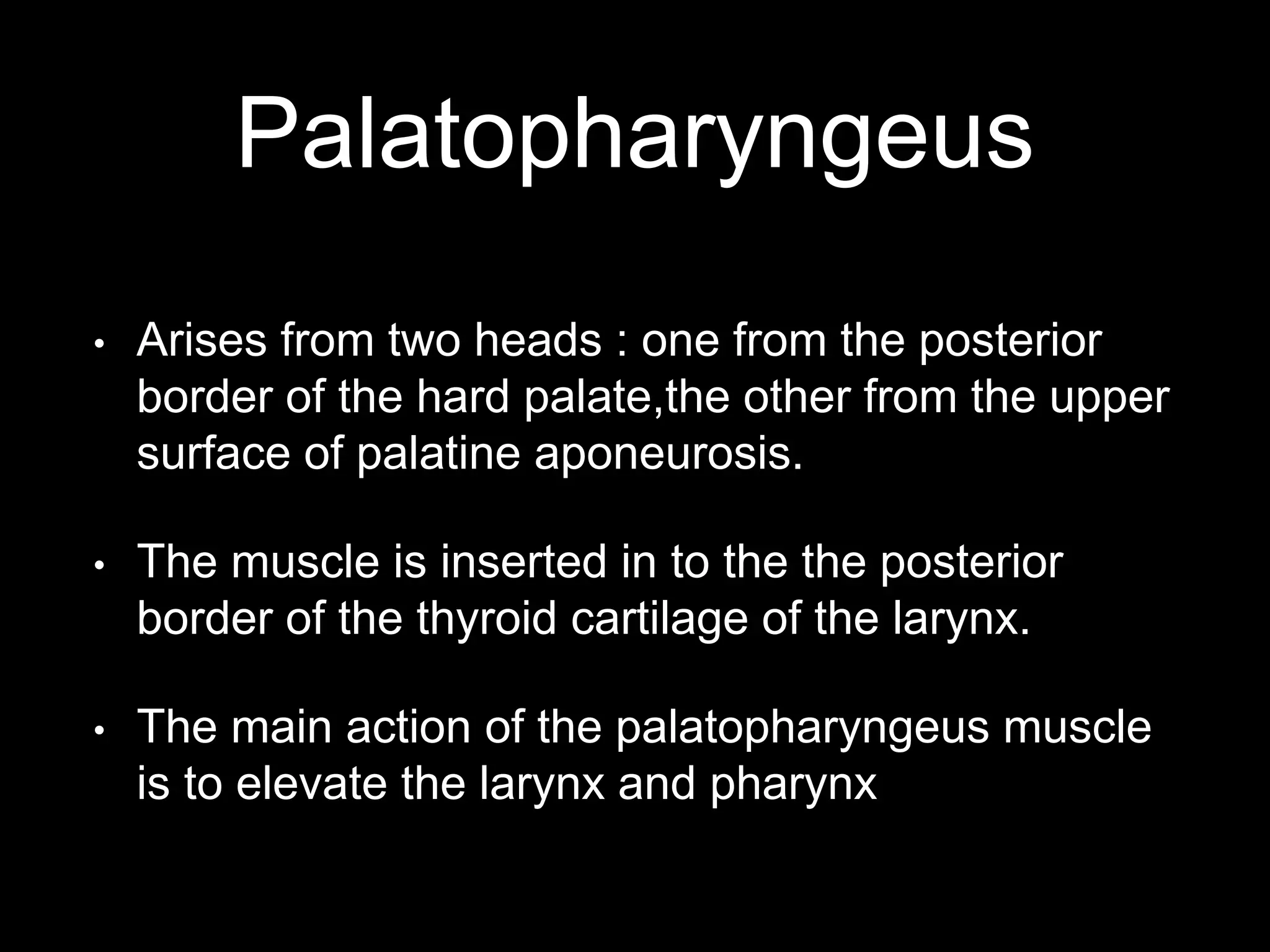 Palatopharyngeus
• Arises from two heads : one from the posterior
border of the hard palate,the other from the upper
surface of palatine aponeurosis.
• The muscle is inserted in to the the posterior
border of the thyroid cartilage of the larynx.
• The main action of the palatopharyngeus muscle
is to elevate the larynx and pharynx
 