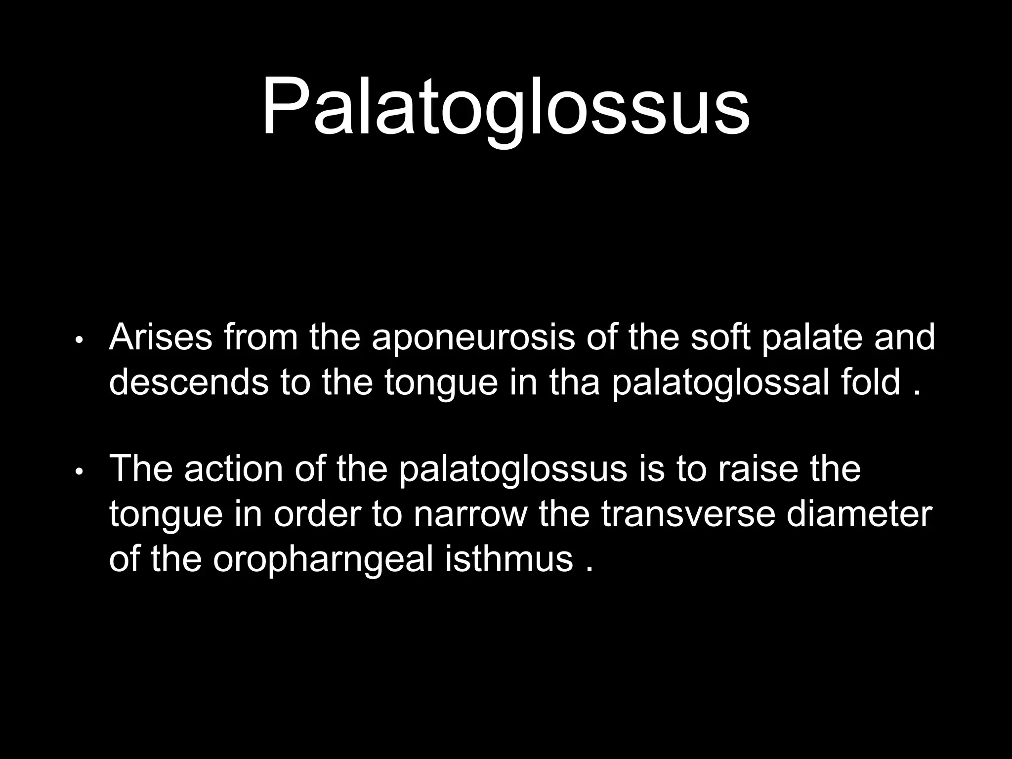 Palatoglossus
• Arises from the aponeurosis of the soft palate and
descends to the tongue in tha palatoglossal fold .
• The action of the palatoglossus is to raise the
tongue in order to narrow the transverse diameter
of the oropharngeal isthmus .
 