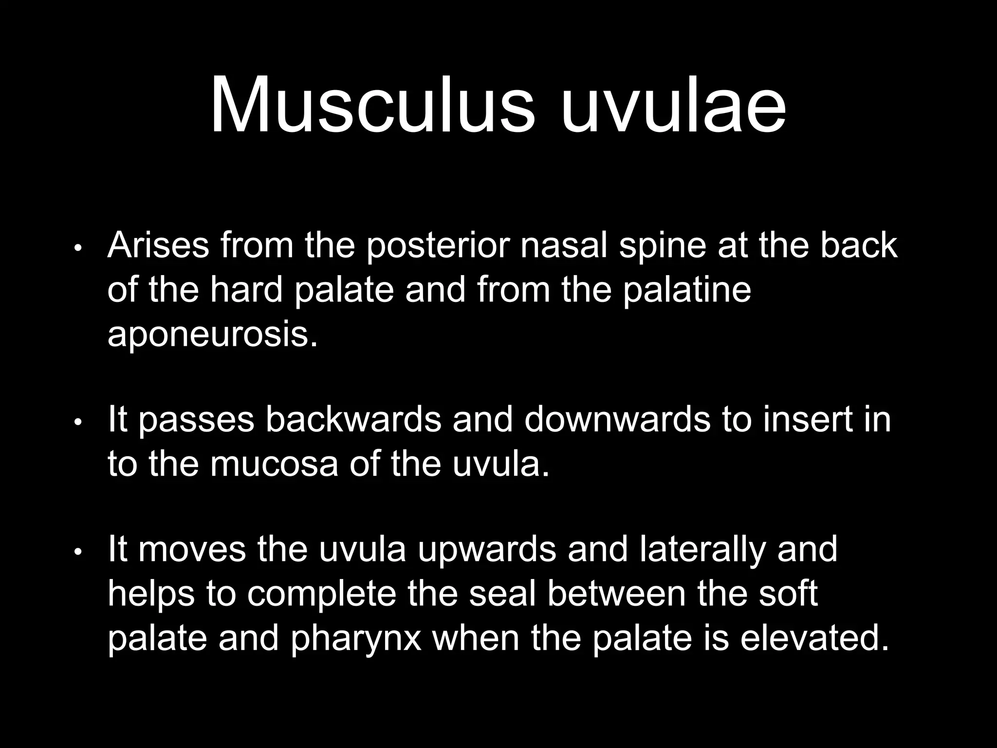 Musculus uvulae
• Arises from the posterior nasal spine at the back
of the hard palate and from the palatine
aponeurosis.
• It passes backwards and downwards to insert in
to the mucosa of the uvula.
• It moves the uvula upwards and laterally and
helps to complete the seal between the soft
palate and pharynx when the palate is elevated.
 