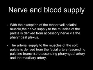 Nerve and blood supply
• With the exception of the tensor veli palatini
muscle,the nerve supply to the muscles of the
palate is derived from accessory nerve via the
pharyngeal plexus.
• The arterial supply to the muscles of the soft
palate is derived from the facial artery (ascending
palatine branch),the ascending pharyngeal artery
and the maxillary artery.
 