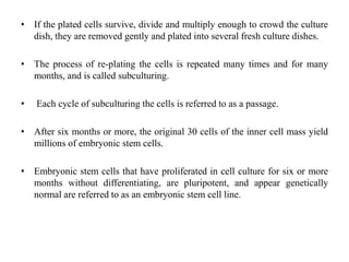 • If the plated cells survive, divide and multiply enough to crowd the culture
dish, they are removed gently and plated into several fresh culture dishes.
• The process of re-plating the cells is repeated many times and for many
months, and is called subculturing.
• Each cycle of subculturing the cells is referred to as a passage.
• After six months or more, the original 30 cells of the inner cell mass yield
millions of embryonic stem cells.
• Embryonic stem cells that have proliferated in cell culture for six or more
months without differentiating, are pluripotent, and appear genetically
normal are referred to as an embryonic stem cell line.
 
