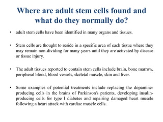Where are adult stem cells found and
what do they normally do?
• adult stem cells have been identified in many organs and tissues.
• Stem cells are thought to reside in a specific area of each tissue where they
may remain non-dividing for many years until they are activated by disease
or tissue injury.
• The adult tissues reported to contain stem cells include brain, bone marrow,
peripheral blood, blood vessels, skeletal muscle, skin and liver.
• Some examples of potential treatments include replacing the dopamine-
producing cells in the brains of Parkinson's patients, developing insulin-
producing cells for type I diabetes and repairing damaged heart muscle
following a heart attack with cardiac muscle cells.
 