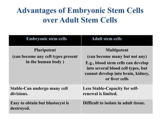 Advantages of Embryonic Stem Cells
over Adult Stem Cells
EEmbryonic stem cells Adult stem cells Adult S.C.
Pluripotent
(can become any cell types present
in the human body )
Multipotent
(can become many but not any)
E.g., blood stem cells can develop
into several blood cell types, but
cannot develop into brain, kidney,
or liver cells
Stable-Can undergo many cell
divisions.
Less Stable-Capacity for self-
renewal is limited.
Easy to obtain but blastocyst is
destroyed.
Difficult to isolate in adult tissue.
 