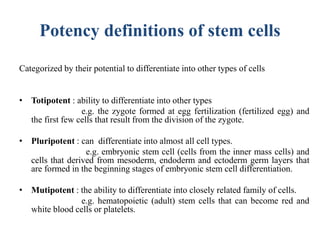 Potency definitions of stem cells
Categorized by their potential to differentiate into other types of cells
• Totipotent : ability to differentiate into other types
e.g. the zygote formed at egg fertilization (fertilized egg) and
the first few cells that result from the division of the zygote.
• Pluripotent : can differentiate into almost all cell types.
e.g. embryonic stem cell (cells from the inner mass cells) and
cells that derived from mesoderm, endoderm and ectoderm germ layers that
are formed in the beginning stages of embryonic stem cell differentiation.
• Mutipotent : the ability to differentiate into closely related family of cells.
e.g. hematopoietic (adult) stem cells that can become red and
white blood cells or platelets.
 