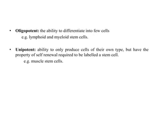 • Oligopotent: the ability to differentiate into few cells
e.g. lymphoid and myeloid stem cells.
• Unipotent: ability to only produce cells of their own type, but have the
property of self renewal required to be labelled a stem cell.
e.g. muscle stem cells.
 