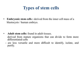 Types of stem cells
• Embryonic stem cells : derived from the inner cell mass of a
blastocysts / human embryo.
• Adult stem cells: found in adult tissues.
derived from mature organisms that can divide to form more
differentiated cells
- are less versatile and more difficult to identify, isolate, and
purify.
 