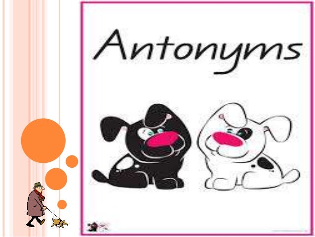 antonyms antonyms