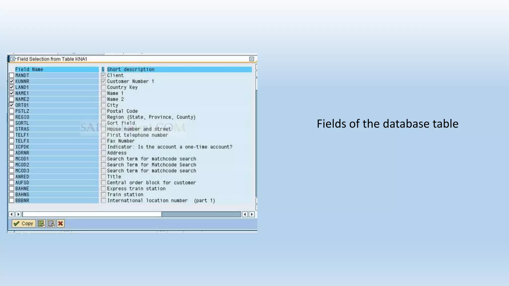 Fields of the database table
 