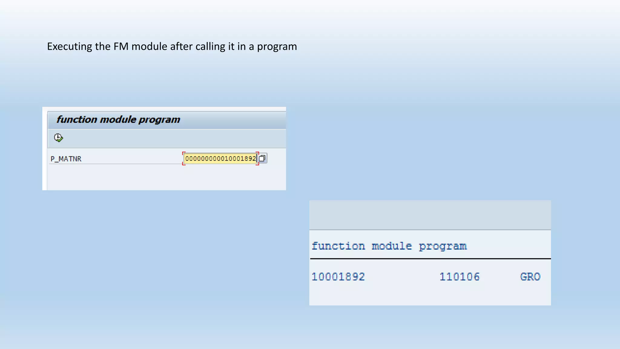 Executing the FM module after calling it in a program
 