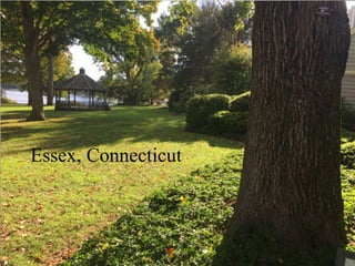 Essex, Connecticut
 