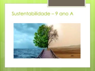 Sustentabilidade – 9 ano A
 